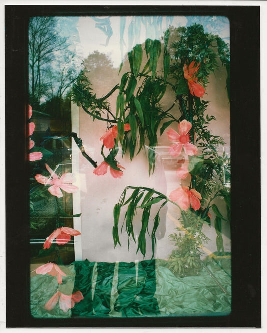 From "Windows" by Sonja Bullaty: Chromogenic 8 x 10 Print Circa 1980s
