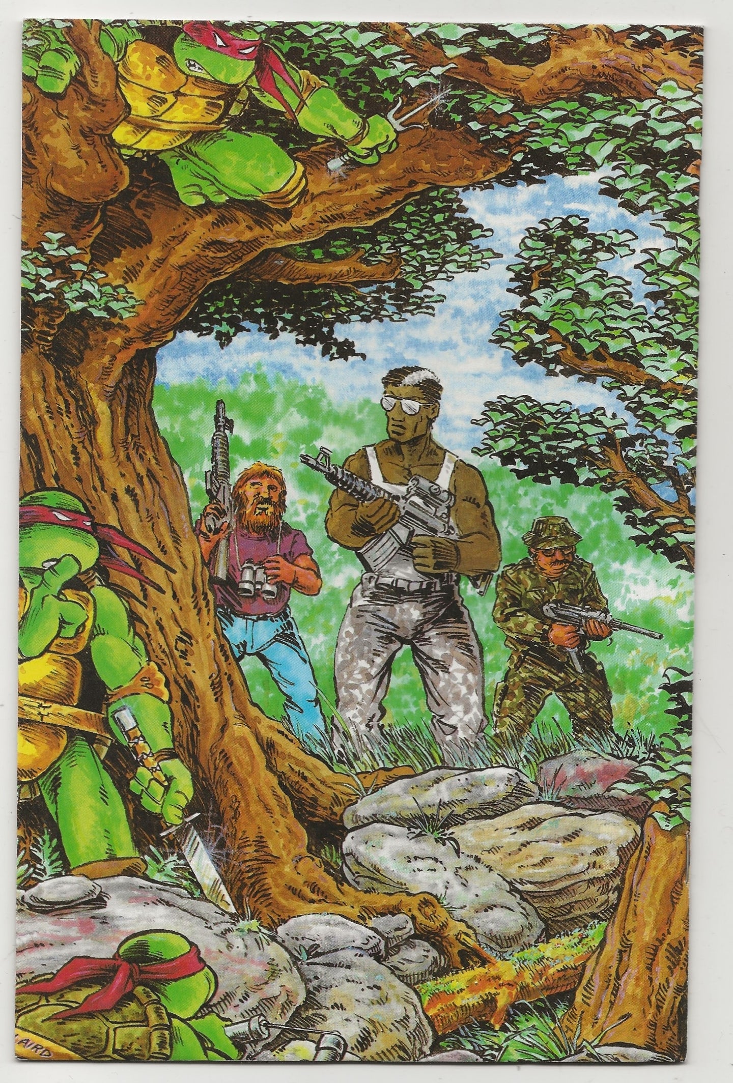 Teenage Mutant Ninja Turtles #12 - Kevin Eastman & Peter Laird Cover - Mirage Studios