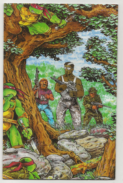 Teenage Mutant Ninja Turtles #12 - Kevin Eastman & Peter Laird Cover - Mirage Studios