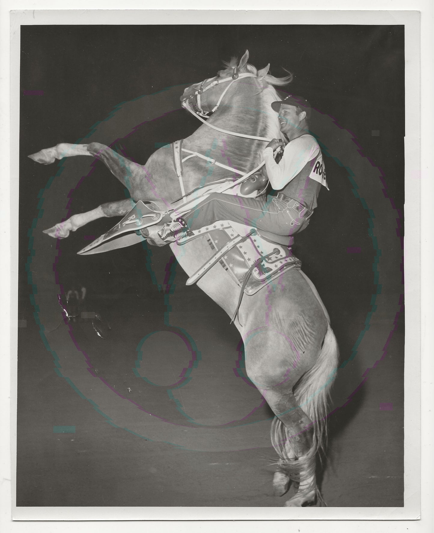Mounting the King: Roy Rogers & Trigger’s Rearing Climax – Original 1955 Weissman GSP