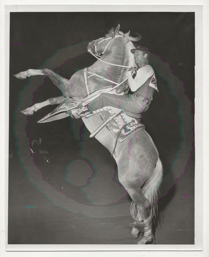 Mounting the King: Roy Rogers & Trigger’s Rearing Climax – Original 1955 Weissman GSP