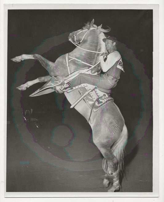 Mounting the King: Roy Rogers & Trigger’s Rearing Climax – Original 1955 Weissman GSP