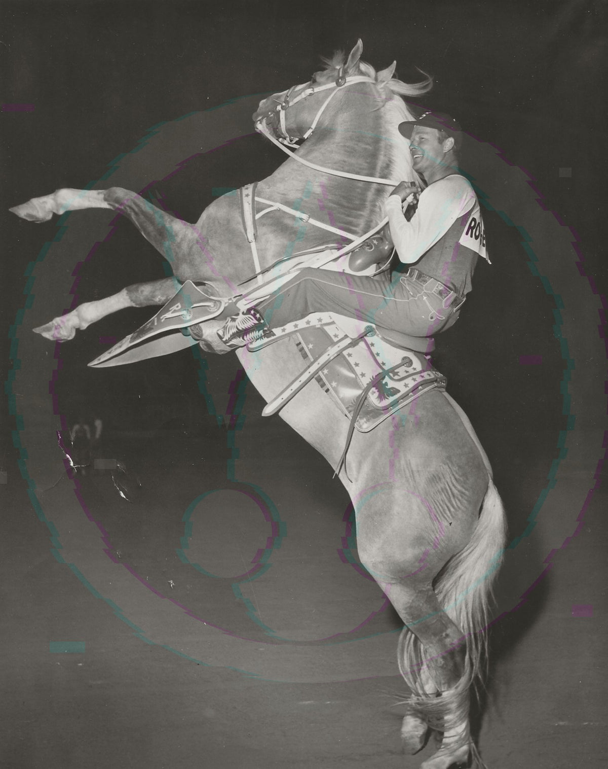 Roy Trigger Rearing Mounting the King: Roy Rogers & Trigger’s Rearing Climax – Original 19 ...