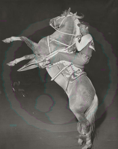 Mounting the King: Roy Rogers & Trigger’s Rearing Climax – Original 1955 Weissman GSP