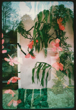 Load image into Gallery viewer, From &quot;Windows&quot; by Sonja Bullaty: Chromogenic 8 x 10 Print Circa 1980s
