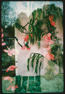 From "Windows" by Sonja Bullaty: Chromogenic 8 x 10 Print Circa 1980s