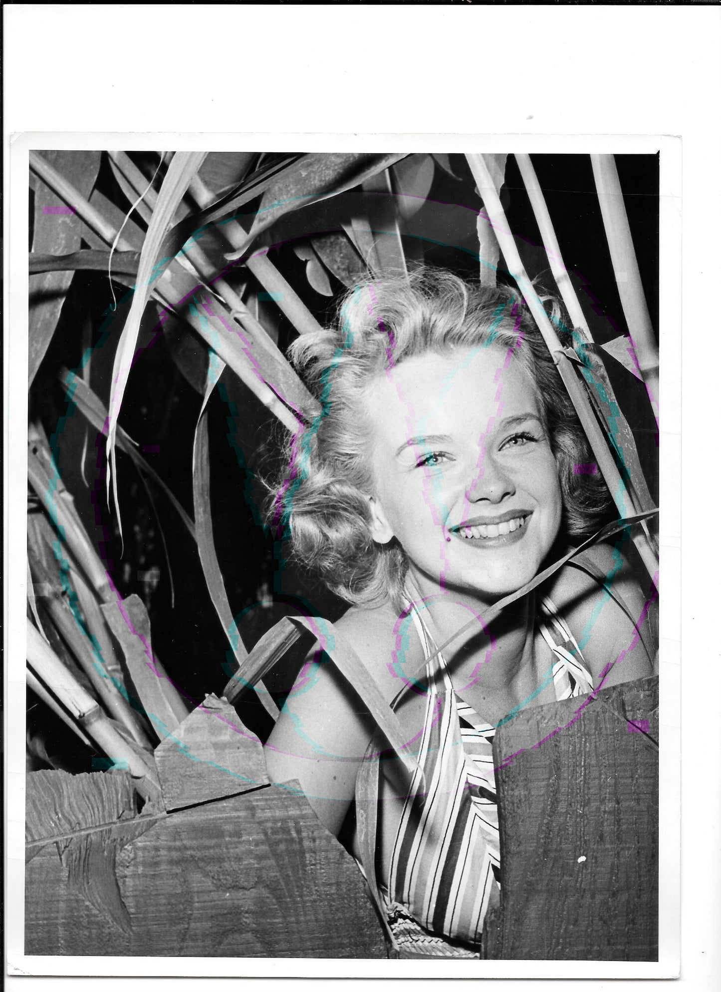 Garden of Desire: Anne Francis "At Home" – Original 1955 Weissman GSP