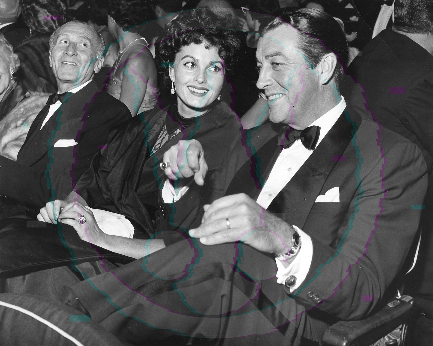Premiere Passion: Robert Taylor & Ursula Thiess – Original 1955 Weissman GSP